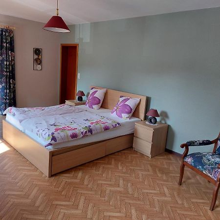 Ferienwohnung Setzer Muehle St. Vith Bagian luar foto
